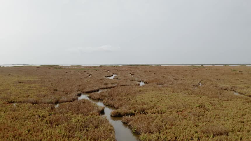 The bog sits quietly