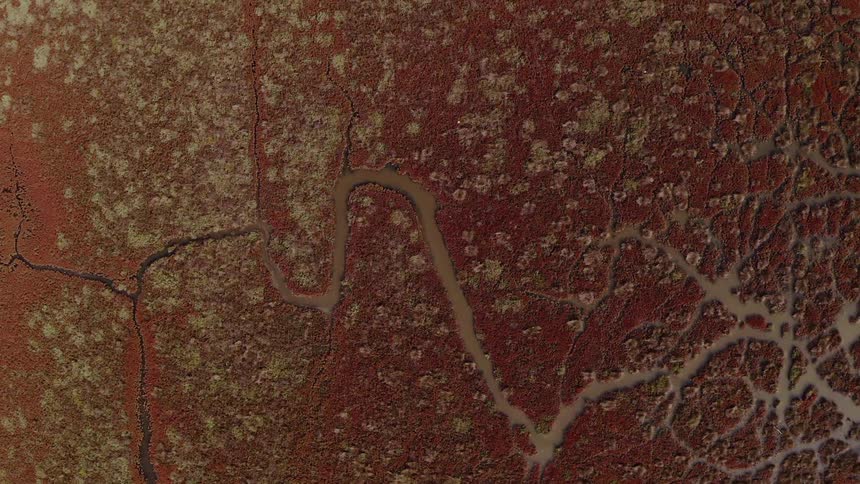 A rust colored surface has cracks and lines in it