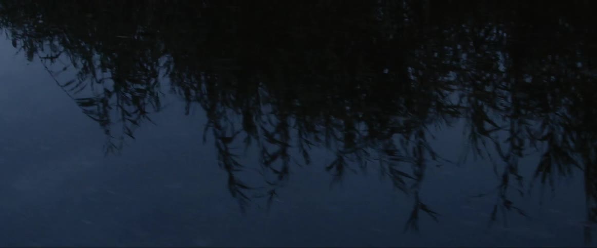 Green plants reflected on the surface of water