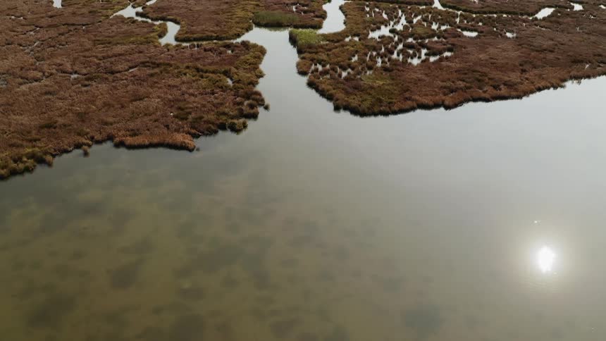 Tidal inlet and streams surround marshland and islands near ocean