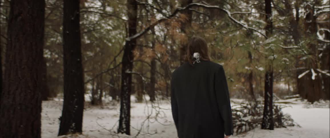 A person wearing a long coat and scarf walks on a snow covered trail and reaches out to touch a branch