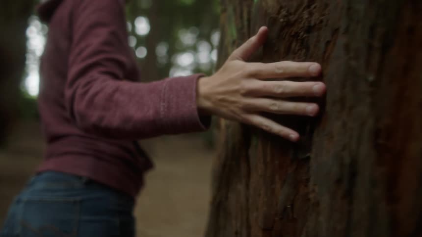 Female touches the bark of a large tree as she walks around the trunk