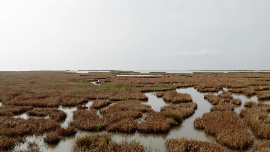 A view of a grassland area is displayed
