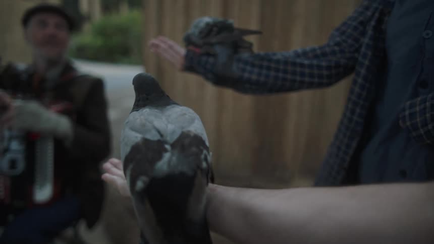 A man sits outside with an accordion and takes a drink as a bird rests on his arm