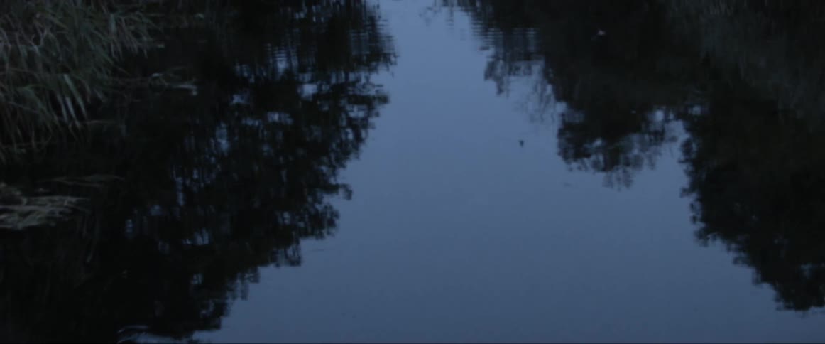 Flying birds and large trees are reflected in calm river water