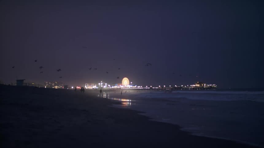 People walking on the shore and in the water with city lights in the distance