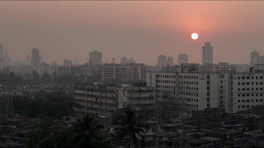 Palm trees with apartment buildings and the sky in the background
