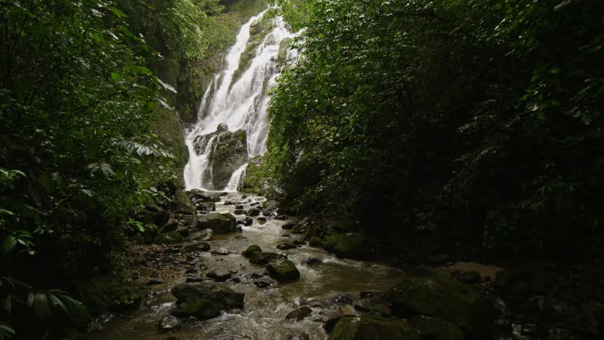 A waterfall is displayed in a wooded area