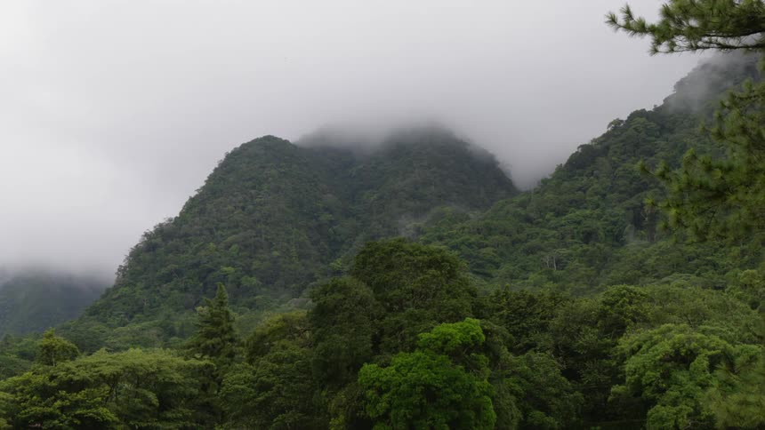 Fog covering the tree covered hills