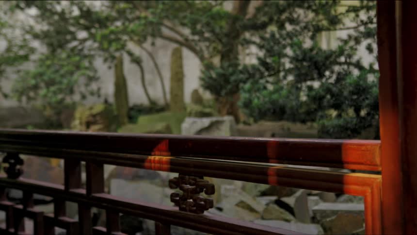 A garden of trees and plants sits across from a wooden railing