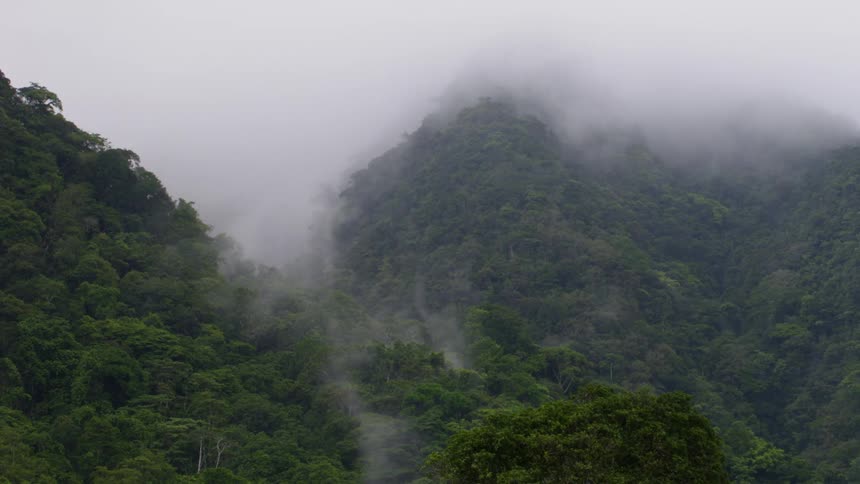 Heavy mist shrouds mountains covered in dense forests