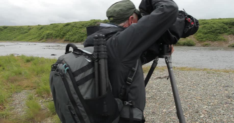 Photographers capturing images of bears in a river