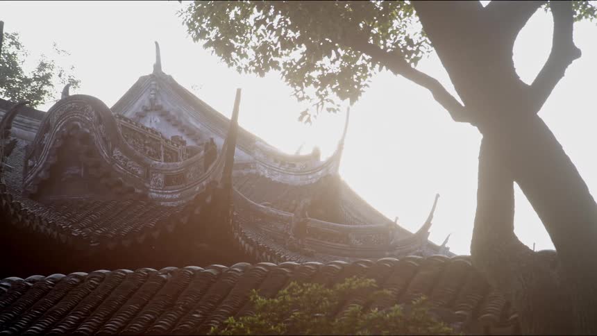 Ornate temple roof against sky