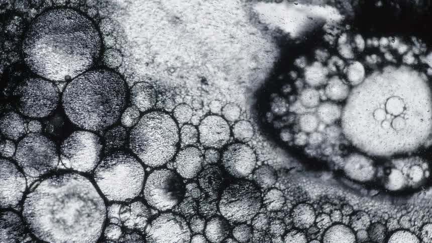Black bubbles filled with black and white particles flow a pop