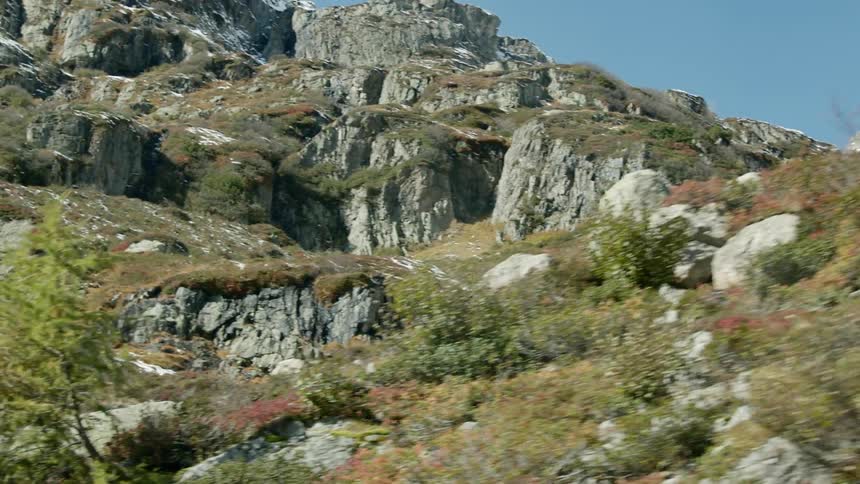 Plants and flowers bloom as high mountains in the distance still have snow on their peaks