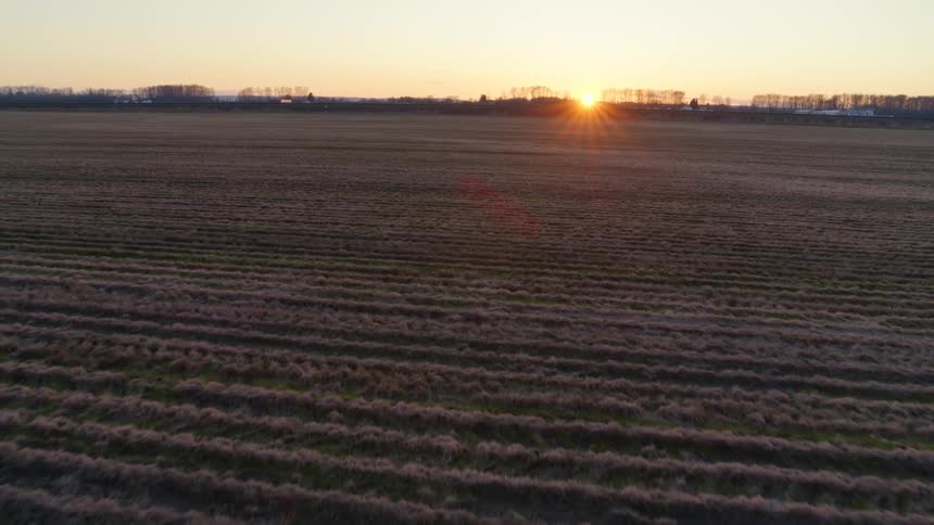 Tilt up reveal of sun setting behind fallow farmland