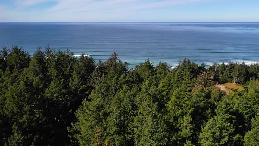 A golf course sits near the ocean surrounded by trees in a forest