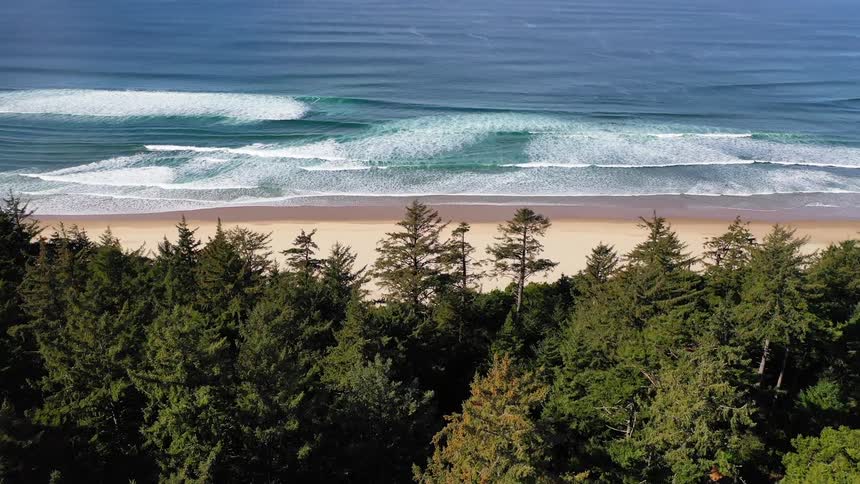 Ocean waves come to a white sandy beach shore just over the tree tops