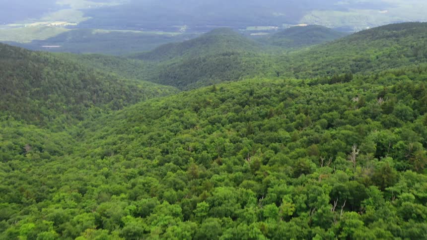 Rolling forests give way to a valley and a mountain range
