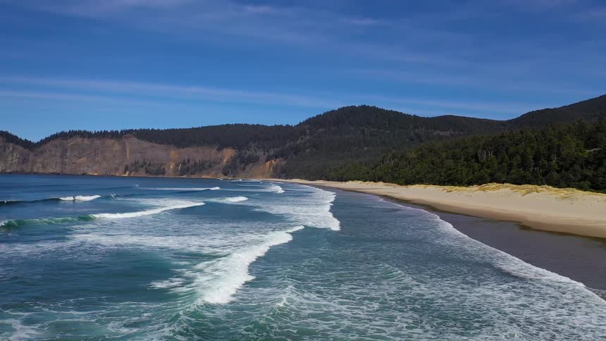 Waves roll into a beach as a forest and mountain sit back from the water