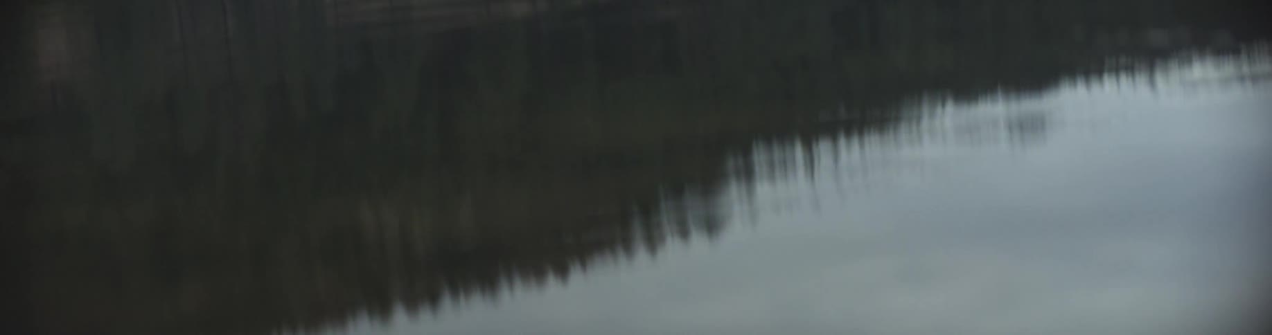 The reflection of trees in a lake