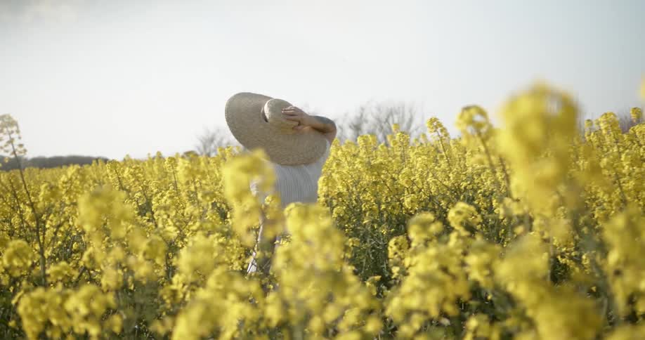 A woman walks through a tall field holding their hat on tight