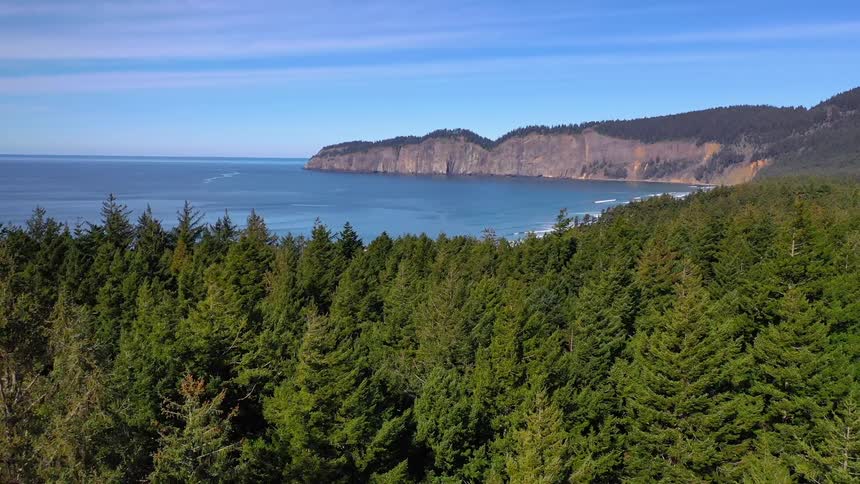 A forest and cliffs surround the coast of an ocean bay