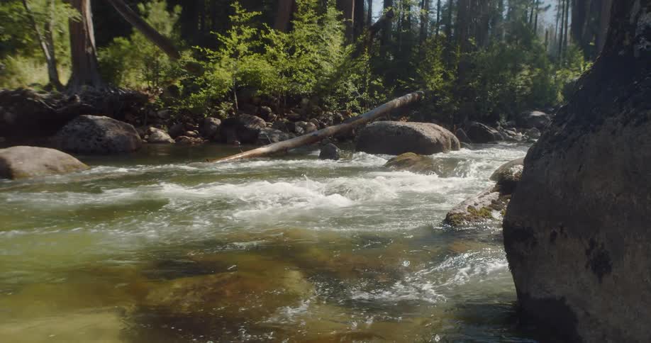 A stream with a strong current is surrounded by rocks and forest