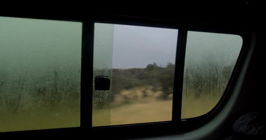 Yellow fields and trees show flow past open vehicle window