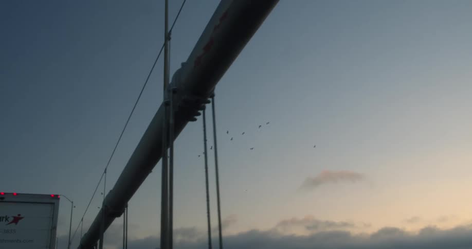 Birds fly over a vehicle traveling past some wires