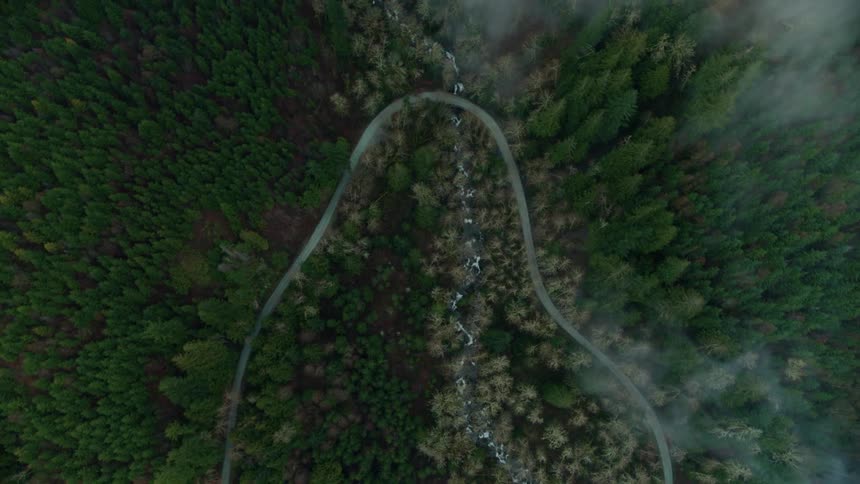 A winding road slices through a wooded forest with an icy stream