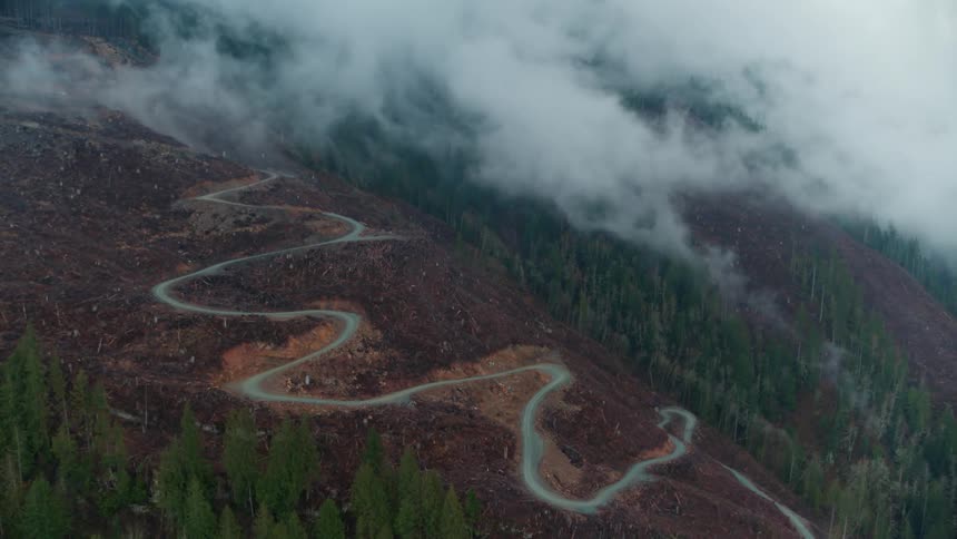 Green tinted liquid flows down earthen slope as smoke hovers over forest