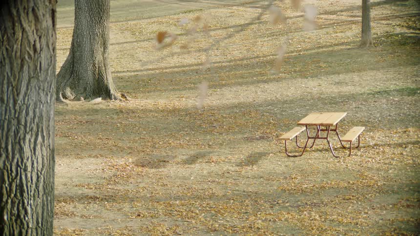 Picnic table on the park in fall at sunset