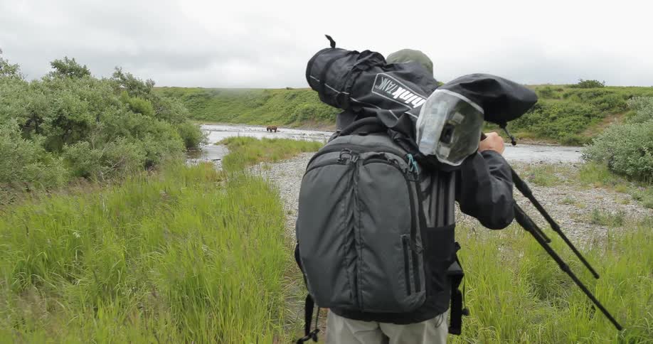 A person carrying gear on their back walks towards a bear