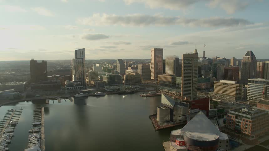 A marina on the waterfront of a metropolis during the day