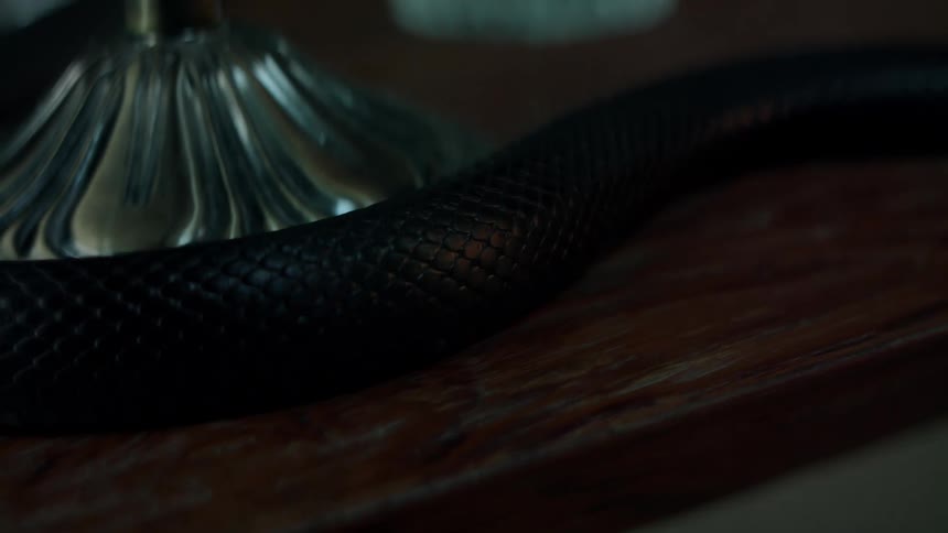 A dark snake slithers along a wooden table top