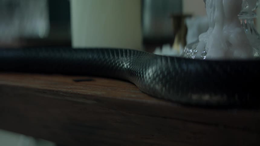A black snake slithers across a wood table
