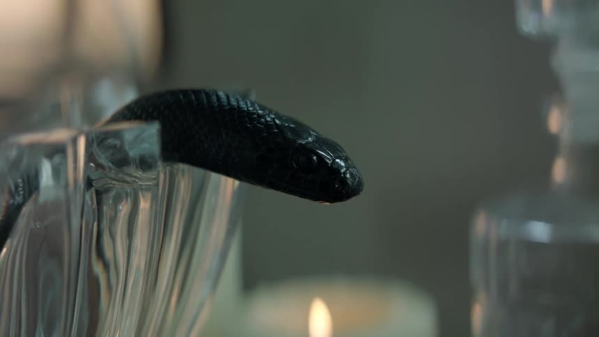 A snake poking its head out of a glass bowl
