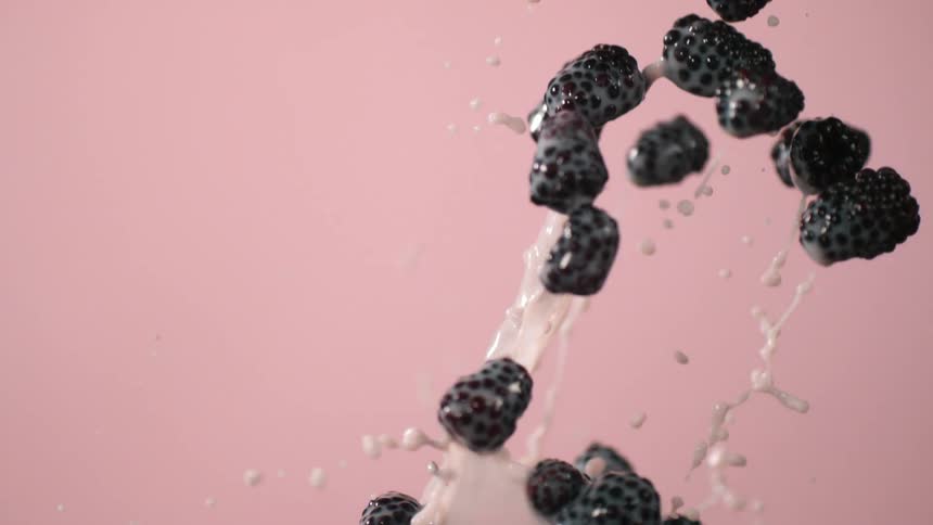 Blackberries being tossed up with milk and a pink background