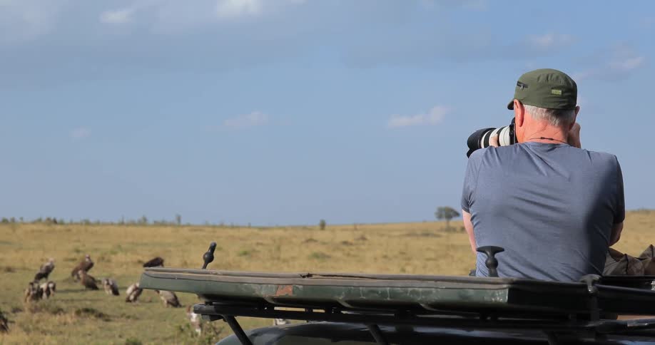 A man is photographing birds on a field