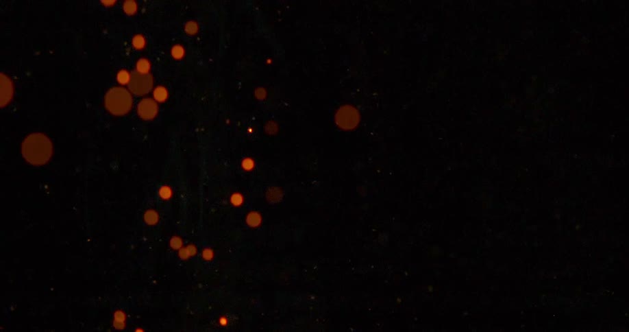 Flame consumes fuel burning out in shower of floating sparks