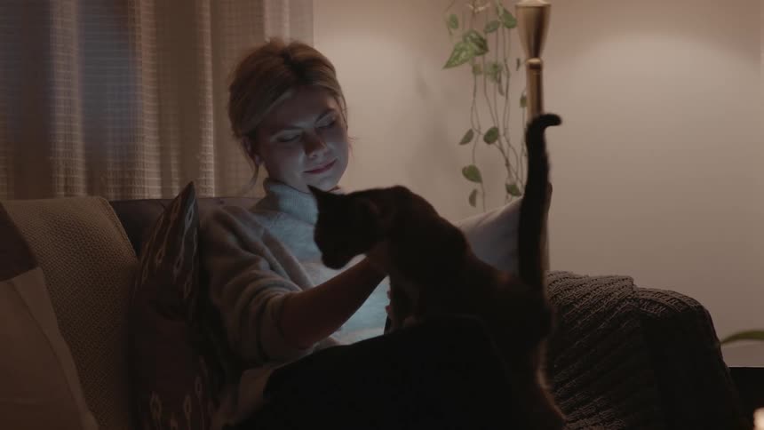 Young woman using cell phone stops to pet cat