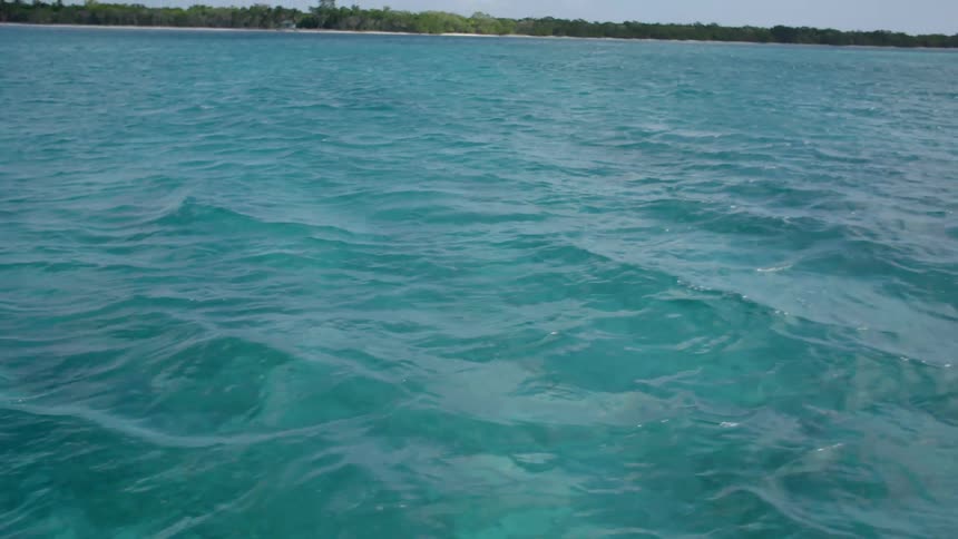 Clear ocean water in front of the coast of a tropical beach under a blue sky