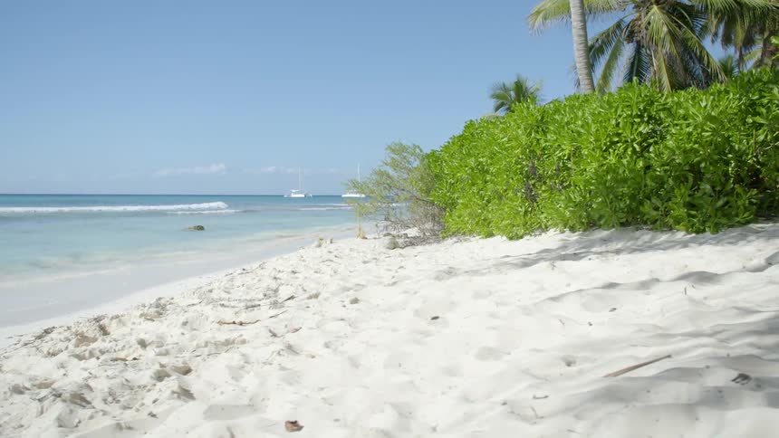 White sands of a tropical beach under the clear blue sky