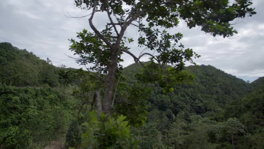Mountain covered in green tropical forest
