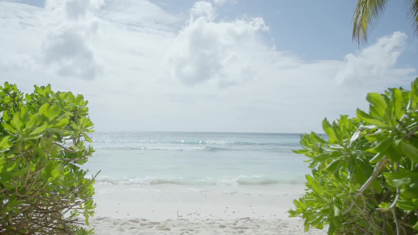 A path through bushes leads to a beach