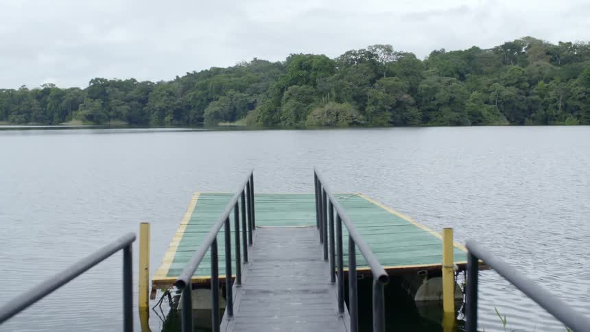 A dock on the lake