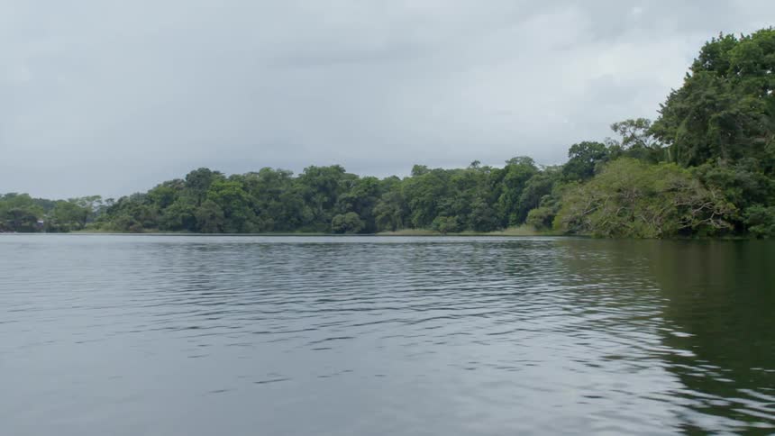 Lake with forest along shoreline