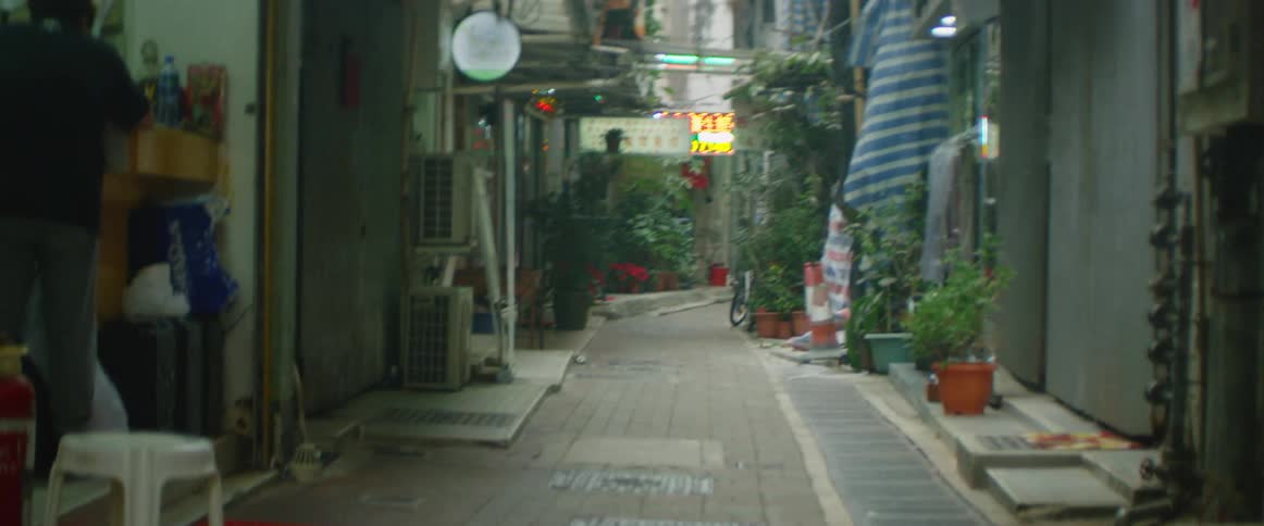 An alley with plants and lights in the background