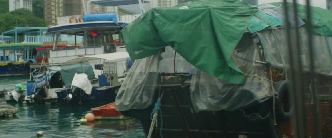 Several run down house boats are parked in a marina near downtown